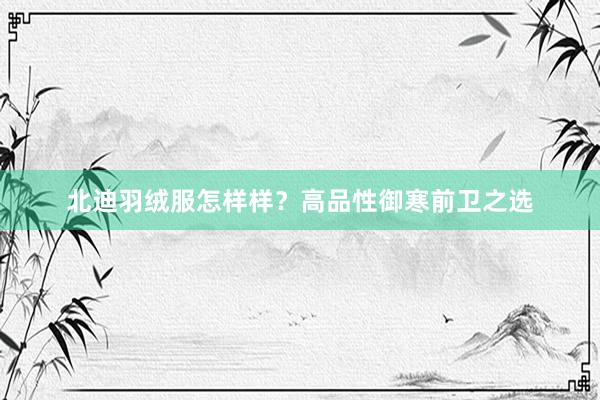 北迪羽绒服怎样样？高品性御寒前卫之选